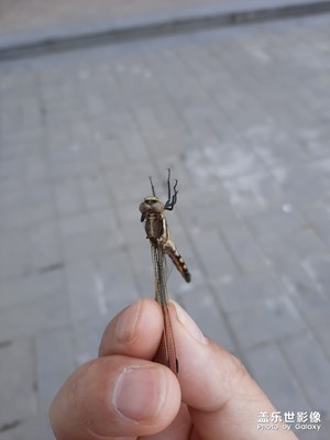 精彩一瞬間