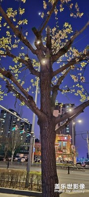 夜景-平凡的生活，也充滿色彩