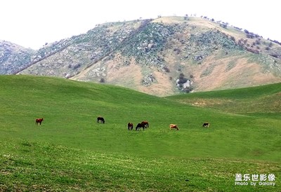 山鄉(xiāng)春色