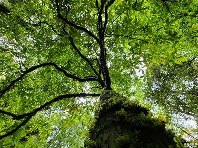 【精彩翻倍】+最美時刻