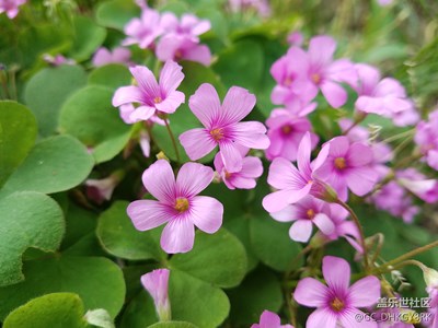 【享受生活】+假日小休閑