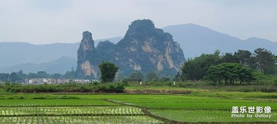 五一節(jié)日快樂