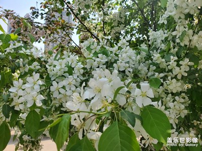 五一勞動(dòng)節(jié)，踏青賞花，
