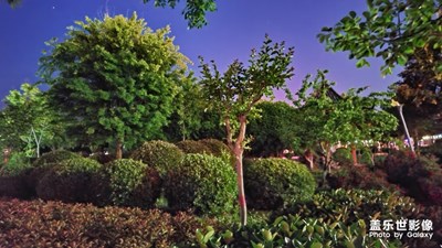 夜拍來(lái)一波