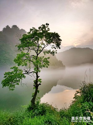 清晨