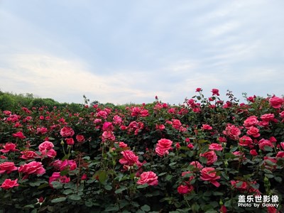 【精彩翻倍】夏至未至！