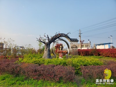 家鄉(xiāng)隨手拍