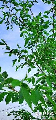 沒有靈感，拍不出來好看的東西