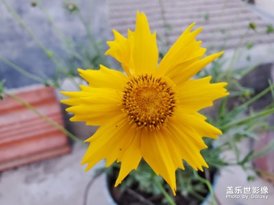 galaxy10