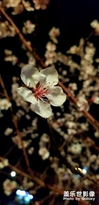 蓋8