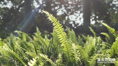 【精彩翻倍】＋

春夏節(jié)點(diǎn)