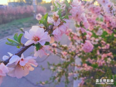 夏天~
