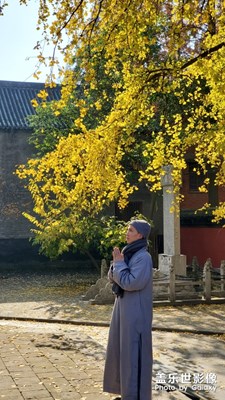 那年秋天。
