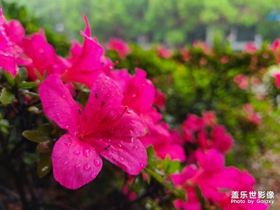 隨手拍