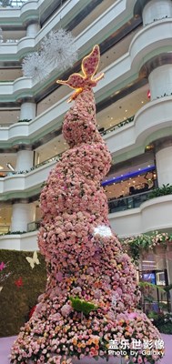 萬(wàn)物復(fù)出