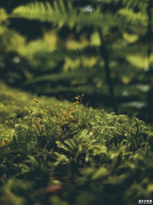 【精彩翻倍】+我喜歡的世界