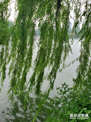 精彩翻倍，精彩時(shí)刻