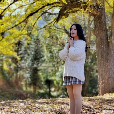 古銀杏樹下的等待