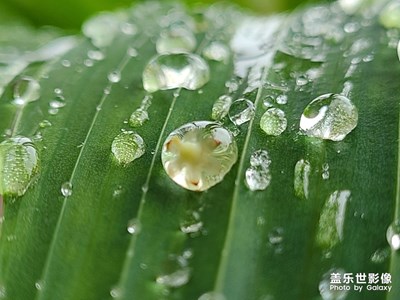 雨后才是拍照的好時(shí)光！