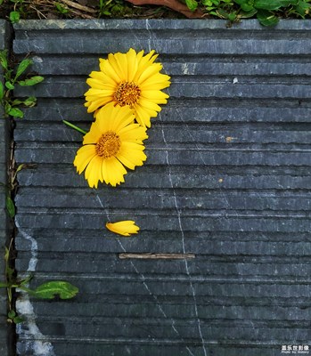 [印象五月]+淺夏心情