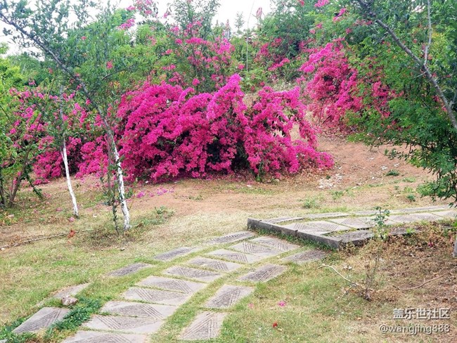 都說(shuō)拍出的照片不超過(guò)3m，今天遇見(jiàn)鬼了，