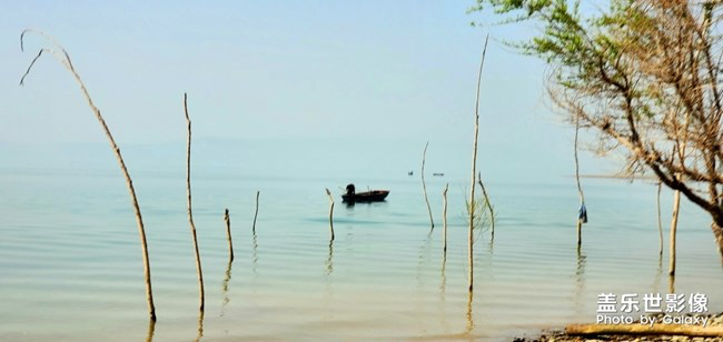 《每周星鮮事》第29期：紅的溫度內(nèi)容征集大賽開始啦