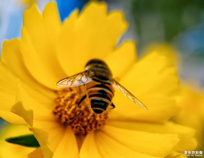 【印象五月】+蔥郁綠水遍地花