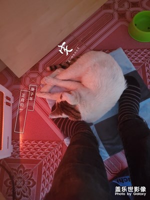 三星記錄下的生活