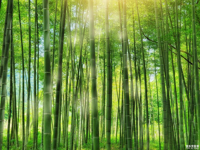 《每周星鮮事》第29期：紅的溫度內(nèi)容征集大賽開始啦