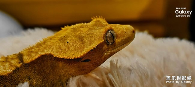 《每周星鮮事》第29期：紅的溫度內(nèi)容征集大賽開始啦