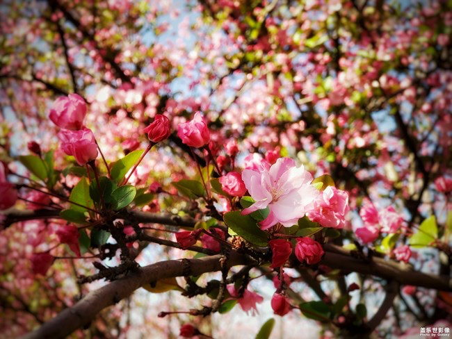 《每周星鮮事》第29期：紅的溫度內(nèi)容征集大賽開始啦