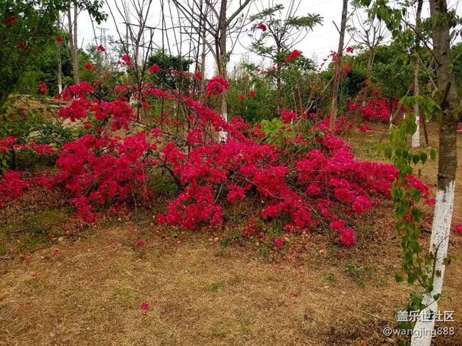 都說(shuō)拍出的照片不超過(guò)3m，今天遇見(jiàn)鬼了，