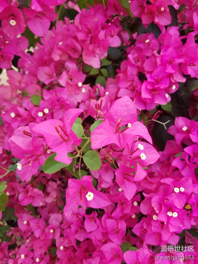 都說(shuō)拍出的照片不超過(guò)3m，今天遇見(jiàn)鬼了，