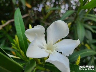 有蟲慎入