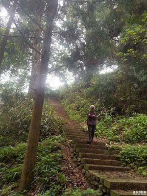 昨天出去拍了幾張，多多指教