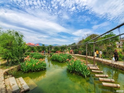 【印象五月】+多彩五月