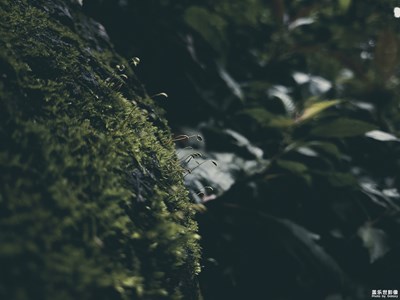 【精彩翻倍】+繽紛世界