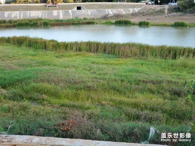 高園水庫(kù)