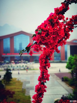 #紅的溫度#+全力以“復(fù)”