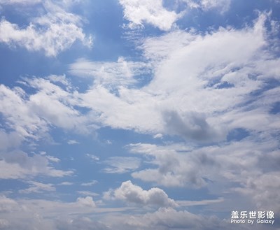 隨便拍拍