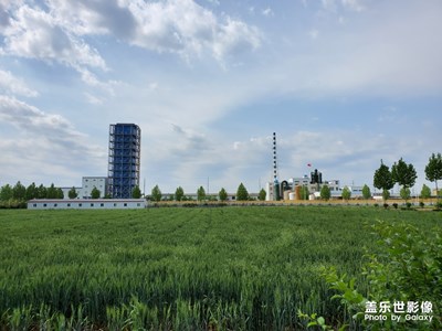 風(fēng)吹麥浪