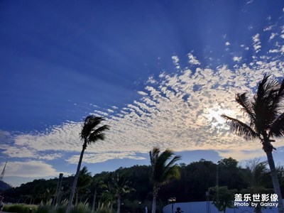 珠海野貍島