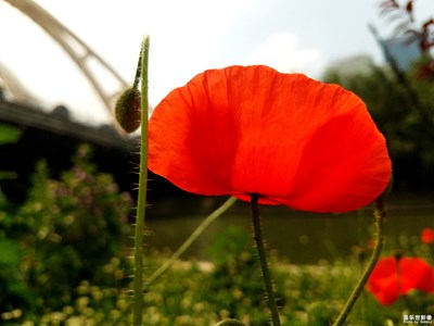 #紅的溫度#+紅的力量