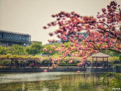 #紅的溫度#+繁花似錦
