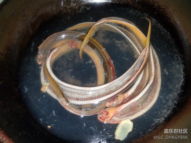 【家常菜】+紅燒鱔魚