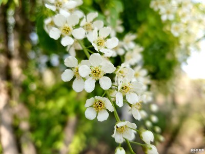 今年的春天來(lái)得晚一些