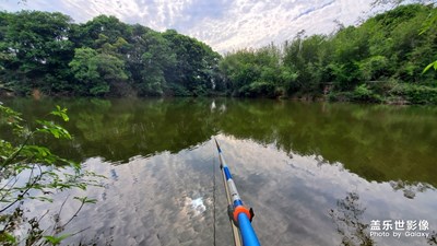 釣魚(yú)佬的日常