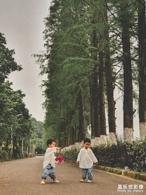 夏日夕陽下 復(fù)古調(diào)