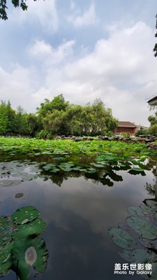 東莞可園.初夏