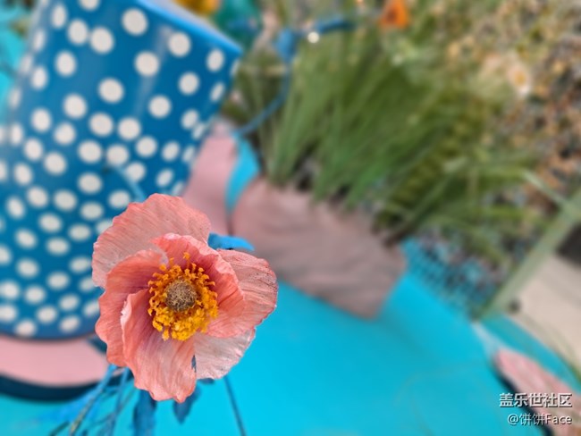 青春有型有內(nèi)涵 三星Galaxy A51 5G全面評測